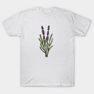 Lavender T-Shirt